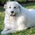 Eileen Kennedy-Beaulieu's profile image
