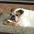 Diane Butler's profile image