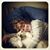 Michelle Elliott Baker's profile image
