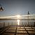 Tom de See's profile image