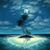 Mark Rankinen's profile image