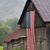 Susan Gambrell Leek's profile image