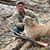 Brian Curtis's profile image