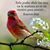 Delia Chavez's profile image