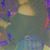 Bhunn Bhadiie's profile image