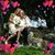 Lindsay Laycoax's profile image