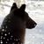 Michele Noriega Pons Phillips's profile image