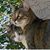Susie Johnson's profile image