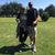 Doug Blauwkamp's profile image
