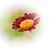 Diane Wheeler Dunn's profile image