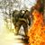 Ron Becknell's profile image