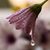Heidi Waddell's profile image