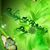 Debbie Eisenbarth Wright's profile image