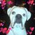 Cindy Lou Smith's profile image