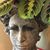 Patricia Cooke's profile image