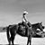 Shelly Updegraff-Rodgers's profile image