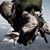 Doug H Wittenberg's profile image