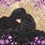 Lori Gardner-Oliver's profile image