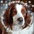 Tracy Waite's profile image