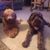Cindy Huseby's profile image