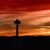 Alvina Hummel's profile image