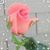 Tabitha Millwood Hersey's profile image