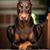 Aigne Martin's profile image