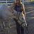 Courtney Fernea's profile image