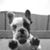 Kathy Warner's profile image