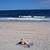 Lorna Carannante Grivois's profile image