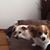 Shelley McCommons-Parker's profile image