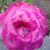 Tia Murphy's profile image