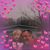 Kimberly S Woodburn's profile image