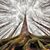 Margaret White's profile image