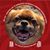 Beth Stewart's profile image