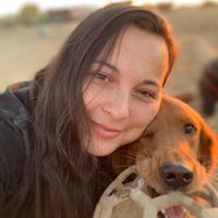 Katrina Rodrigues's profile image