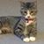 Linda Cotsonika's profile image