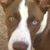 Rick Manning's profile image