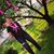 Margaret Smith Hawk's profile image