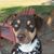 Tammy Perryman's profile image