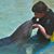 Monte Cagle's profile image