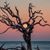 Gina Marie Aguilar-Burns's profile image