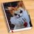 Yvonne Mc Carthy's profile image