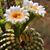 Mayela Villegas's profile image