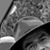 Doug Steele's profile image