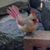 Phyllis Lucas Kirk's profile image