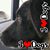 George Fulk's profile image