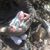 Bobbie Anderson's profile image