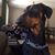 Sue Corcoran Budnick's profile image