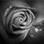 Laura Kowalski's profile image